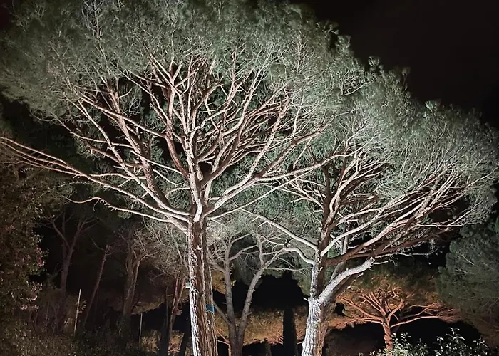 Vista Bonita Villa *